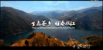 生态茶乡 恒春双江
