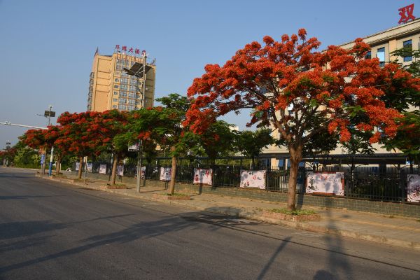 微信图片_20220308105508