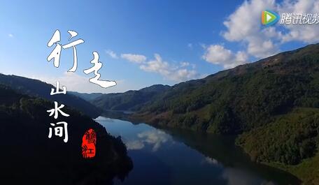 勐库古树