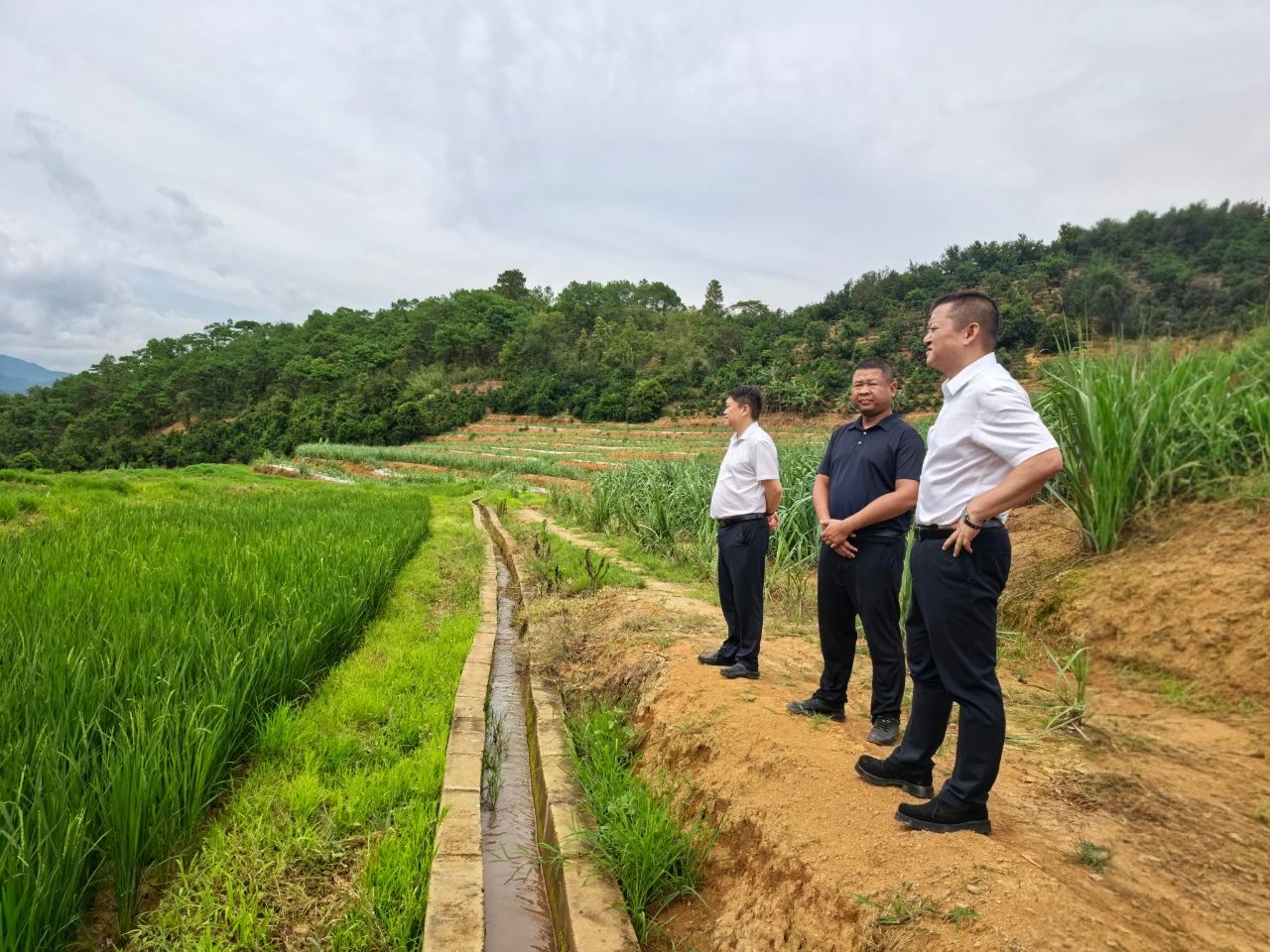 陈鹏调研土地整治（提质改造）及仓储冷链项目 强调紧扣民生需求务实推进建设